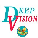 Deep Vision