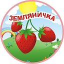 МДОУ детский сад Земляничка р.п. Посевная