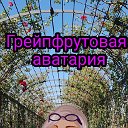 грейпфрутовая аватария