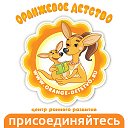 Центр развития и коррекции "Оранжевое детство"