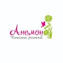 Питомник растений "Анемон". Ландшафтный дизайн