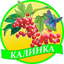 Детский сад №1 "Калинка"