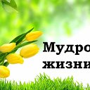 МУДРОСТЬ ЖИЗНИ Мудрые мысли