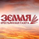 Газета «Земля»