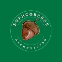 Борисовское лесничество 31 регион