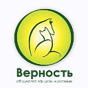 ВЕРНОСТЬ -Общество Защиты  Животных Днепропетровск