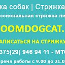 Стрижка собак, котов в Минске