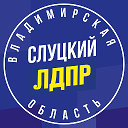 Владимирское региональное отделение ЛДПР