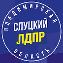 Владимирское региональное отделение ЛДПР
