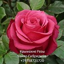 Крымские Розы Почтой