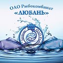 ОАО "Рыбокомбиат "Любань"