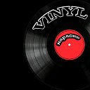 Караоке-клуб "Vinyl"