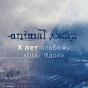 Animal ДжаZ