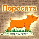 Продажа Поросят-Свиней оптом-розница