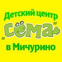 Детский центр "СЁМА" в Мичурино