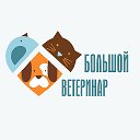 Большой Ветеринар