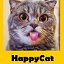 Видео поздравления с праздниками HappyCat