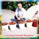 Суперкрупноплодная клубника Ганзюкова Н.Ф.