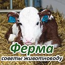 Ферма: советы животноводу