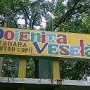 Poienita Vesela 2012