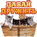 Поиск друзей В ОК - Дружбу предлагать !