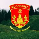 Ногинский Филиал ГКУ МО "Мособллес"