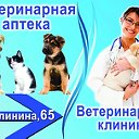 ГБУ "Сорочинское городское управление ветеринарии"