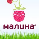 Программа МАЛИНА