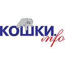 "Кошки.Info" – журнал дл тех, кому доверяют кошки