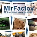 MirFactov - все самое интересное!