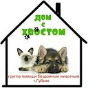 "ДОМ С ХВОСТОМ"  (г.Губкин)