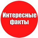 Интересные факты