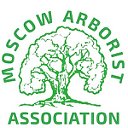 Арбористы москвы