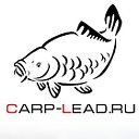 CARP-LEAD.RU