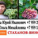 Продажа саженцев винограда ЛНР Стаханов