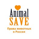 Защита прав животных в России AnimalSAVE.ru