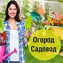 Огород Садовод