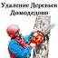 Удаление Деревьев. Спил Деревьев в Домодедово