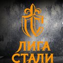 Спортивный клуб "Лига Стали" (Кобра)