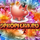 spkopilka.ru