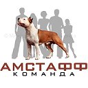 Минская амстафф-команда