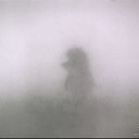 Ёжик в тумане