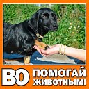 ВО "Помогай животным" (Кемерово)