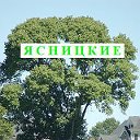 Ясницкие