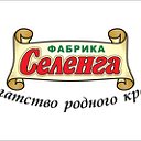 Фабрика "Селенга"