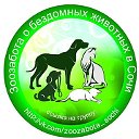 Зоозабота о бездомных животных в Сочи