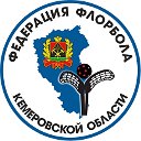 Федерация флорбола Кемеровской области
