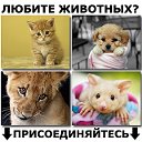 Клуб любителей животных