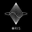 Мобильное приложение Oris