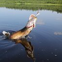 природа и рыбалка нижегородская область